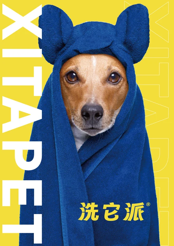 黄底品牌画面中，一只狗裹着印有洗它派字样的蓝色毛巾