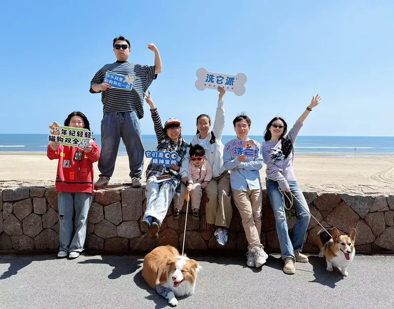 多人和犬只在海边举着洗它派手牌合影